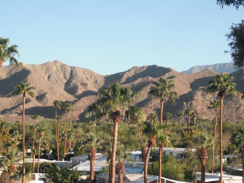Palm trees and desert mountains at the resort