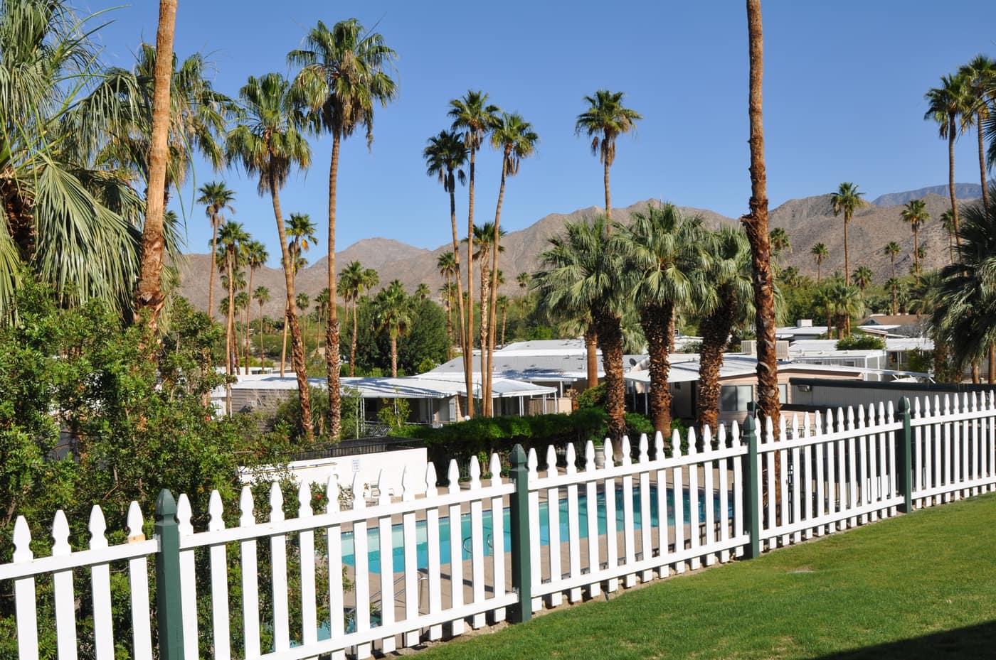 Swimming pool framed by palm trees and a white picket fence