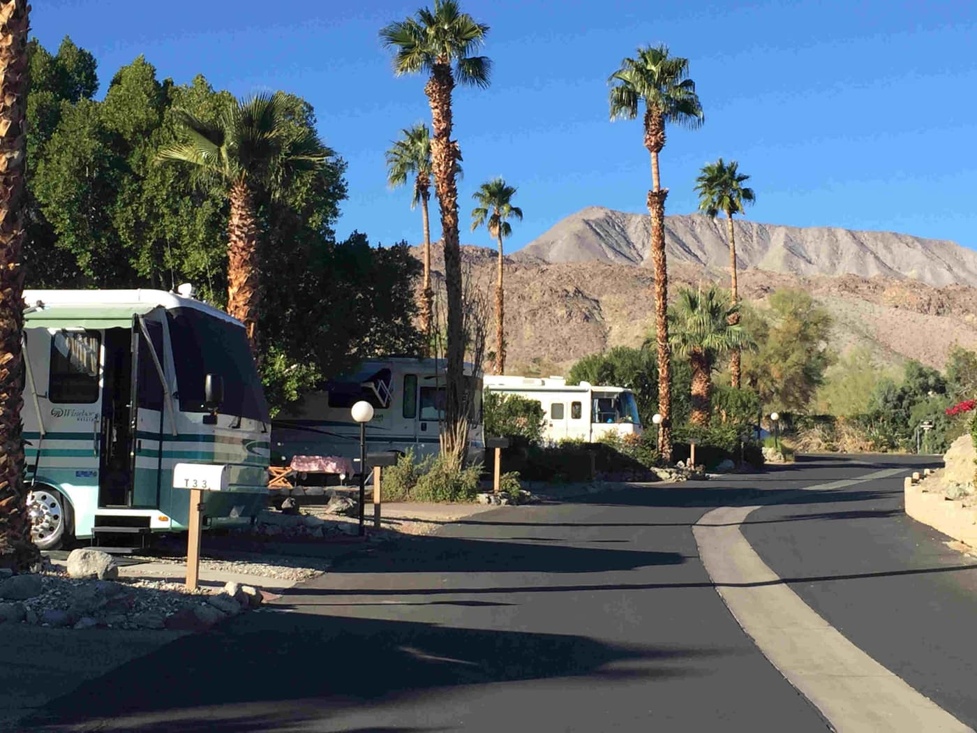 RV sites lined with palm trees and mountain views